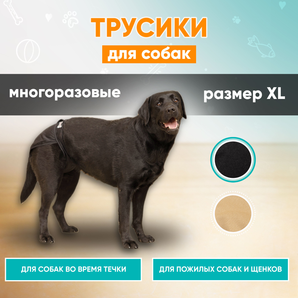 Трусы для собак многоразовые во время течки, памперсы для собак Mr Dog для  девочек XL