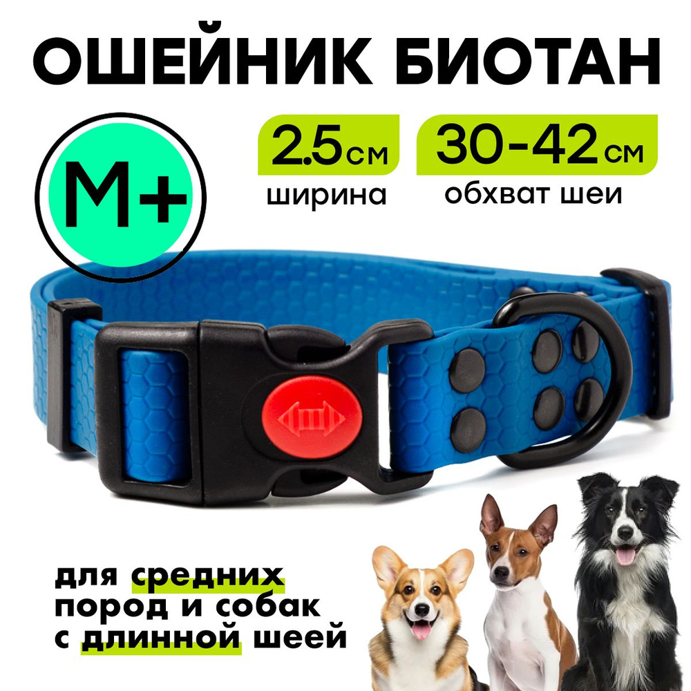 Биотановый ошейник 30-42 см (M+), 25 мм, Woofy "Iron" водостойкий, для небольших и средних собак, синий #1