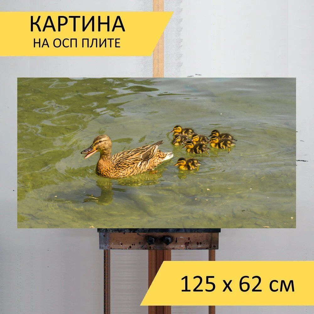 Картина птиц 