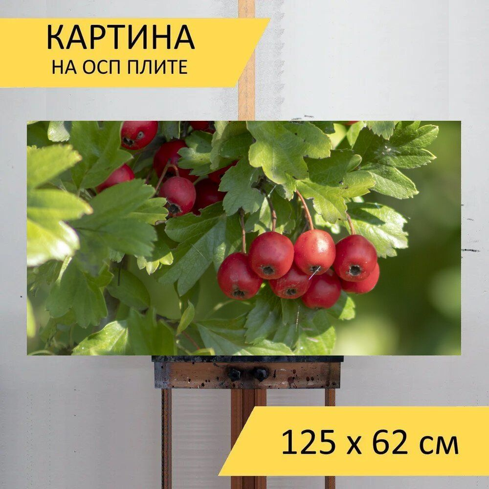 Красная картина 