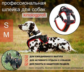 Газовая горелка для туризма - Ошейники Шлейки Поводки для собак купить в Минске: цены
