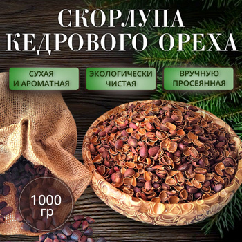 Машина для извлечения кедрого ореха из скорлупы