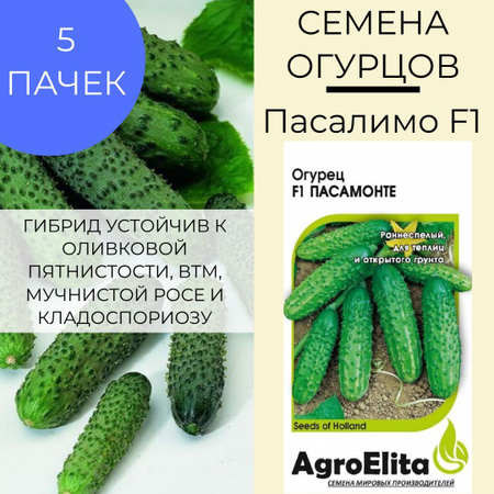 Огурцы пасалимо фото