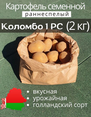 Сорт Картофеля Коломбо Характеристика Фото