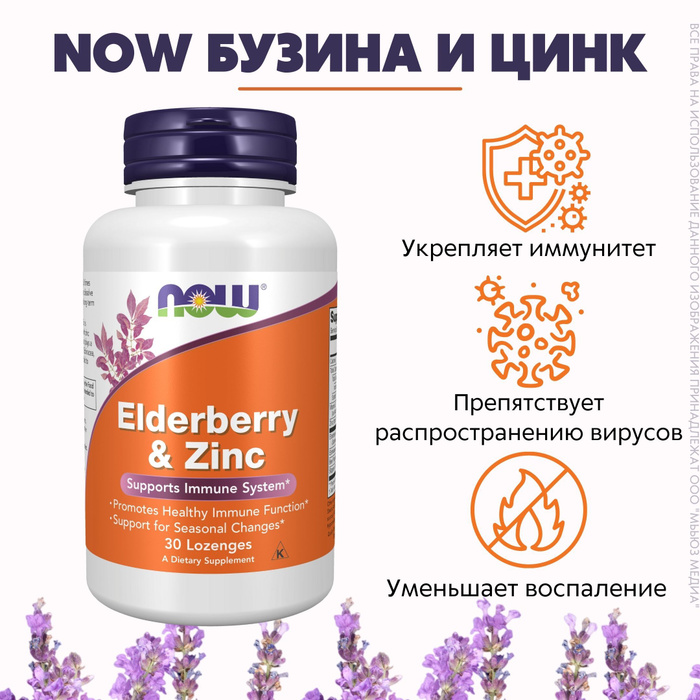 Zinc американски. Бузина now. Бузина now. Бузина ядовитая ягода. Бузина лациниата.