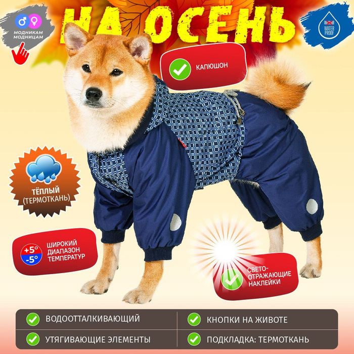 Комбинезон для собак мелких и средних пород "Орнамент" - купить с ...