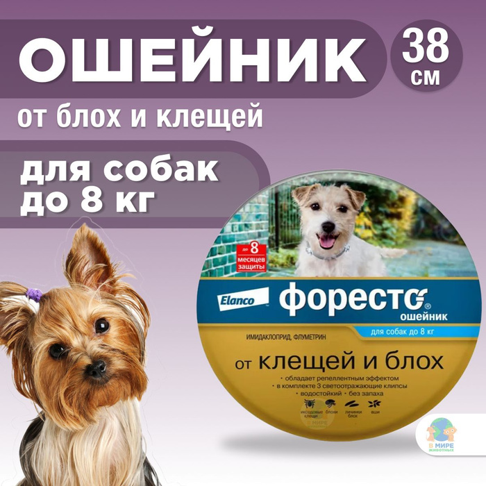 Форесто ошейник для собак от блох отзывы. Форесто ошейник для собак от блох отзывы