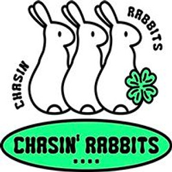 Красивый заяц. Заяц с опущенными ушами. Rabit rabit. Маленькие крольчата. Австралийский заяц.