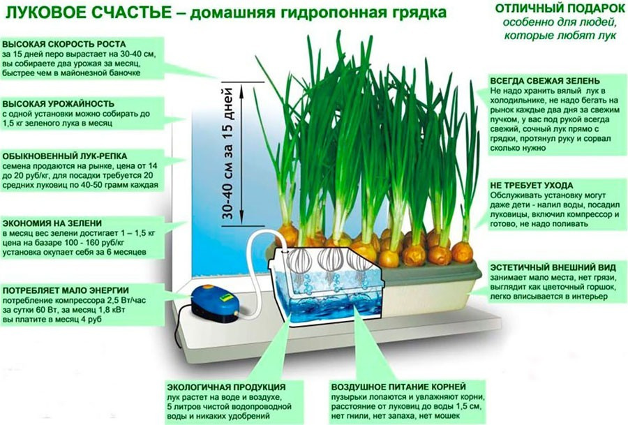 Текст при отключенной в браузере загрузке изображений