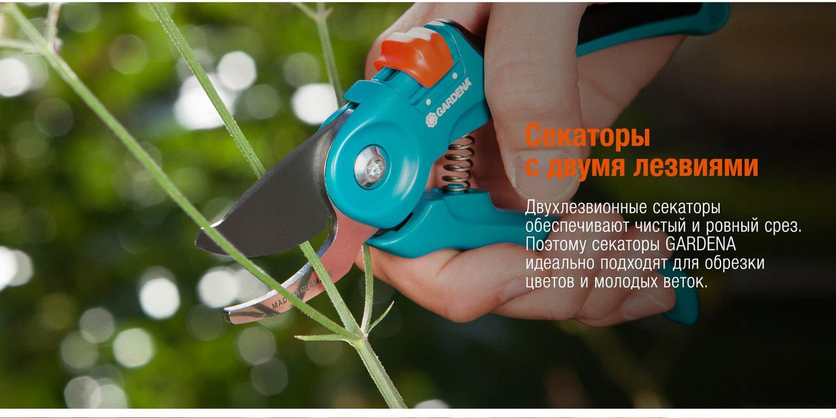 Текстовое описание изображения