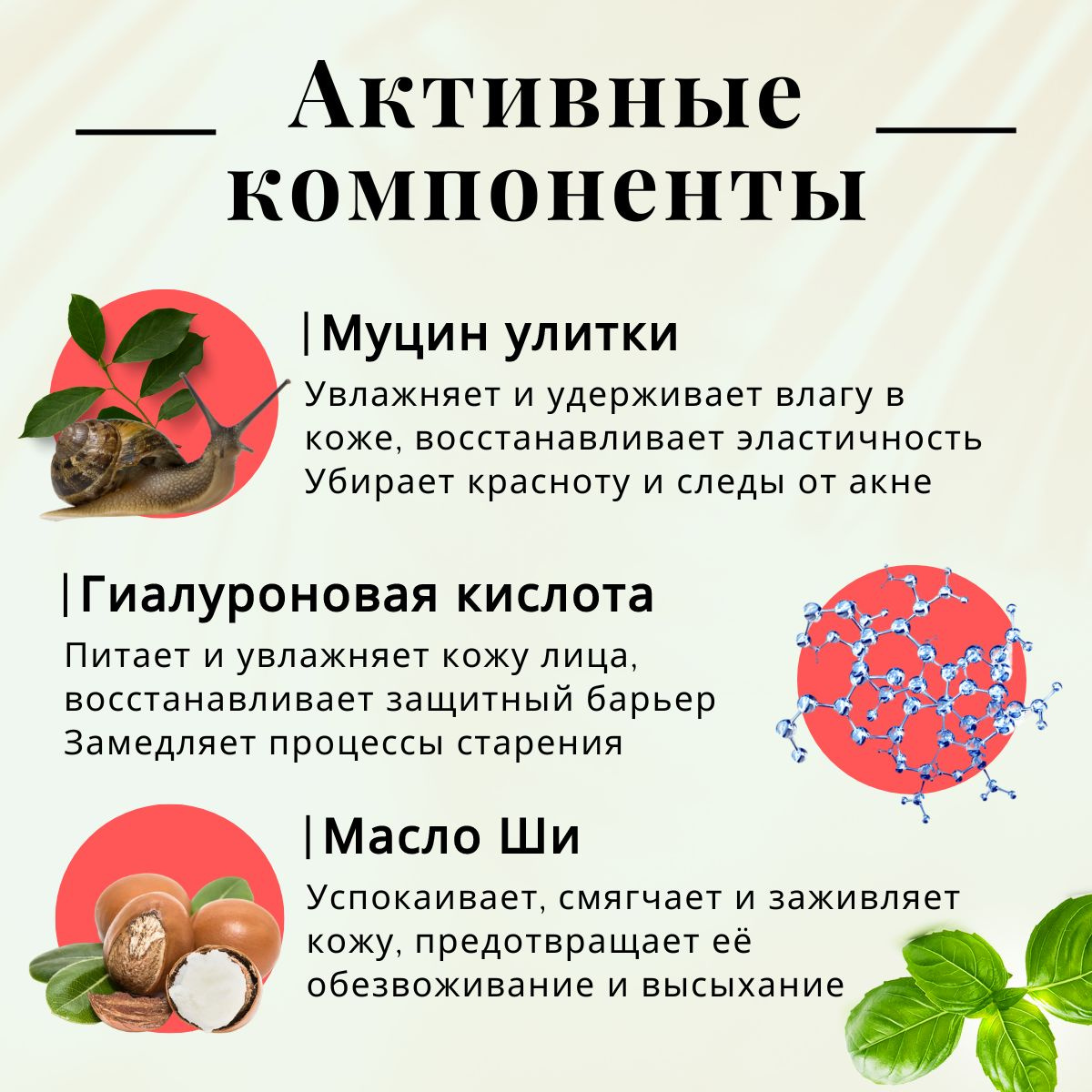 Крем для лица с муцином улитки / Корейский крем для кожи лица с муцином ...