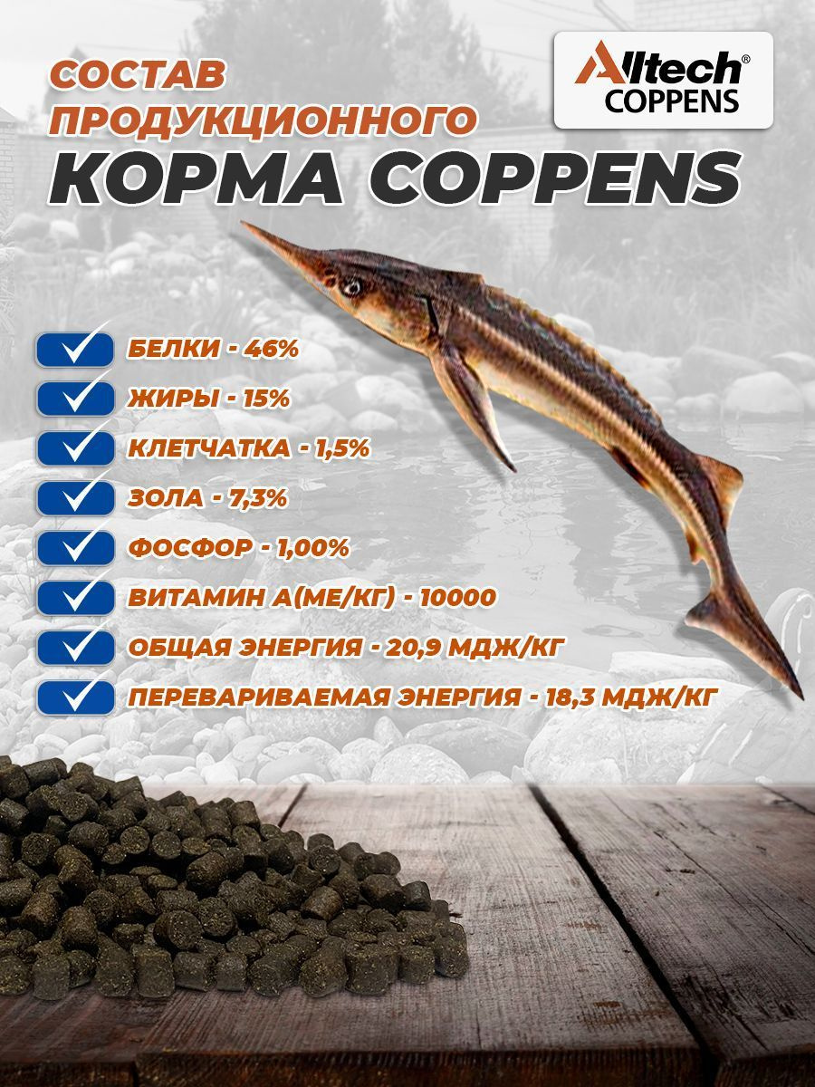 Корм для всех видов осетровых рыб Coppens Supreme-15, фракция - 6 мм ...