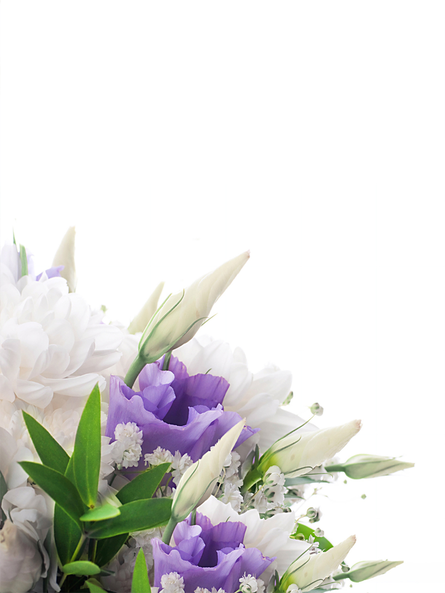 фотоштора LeJoy ШКХ-ГБ-F570 , 180х290см, Габардин купить c доставкой на ...