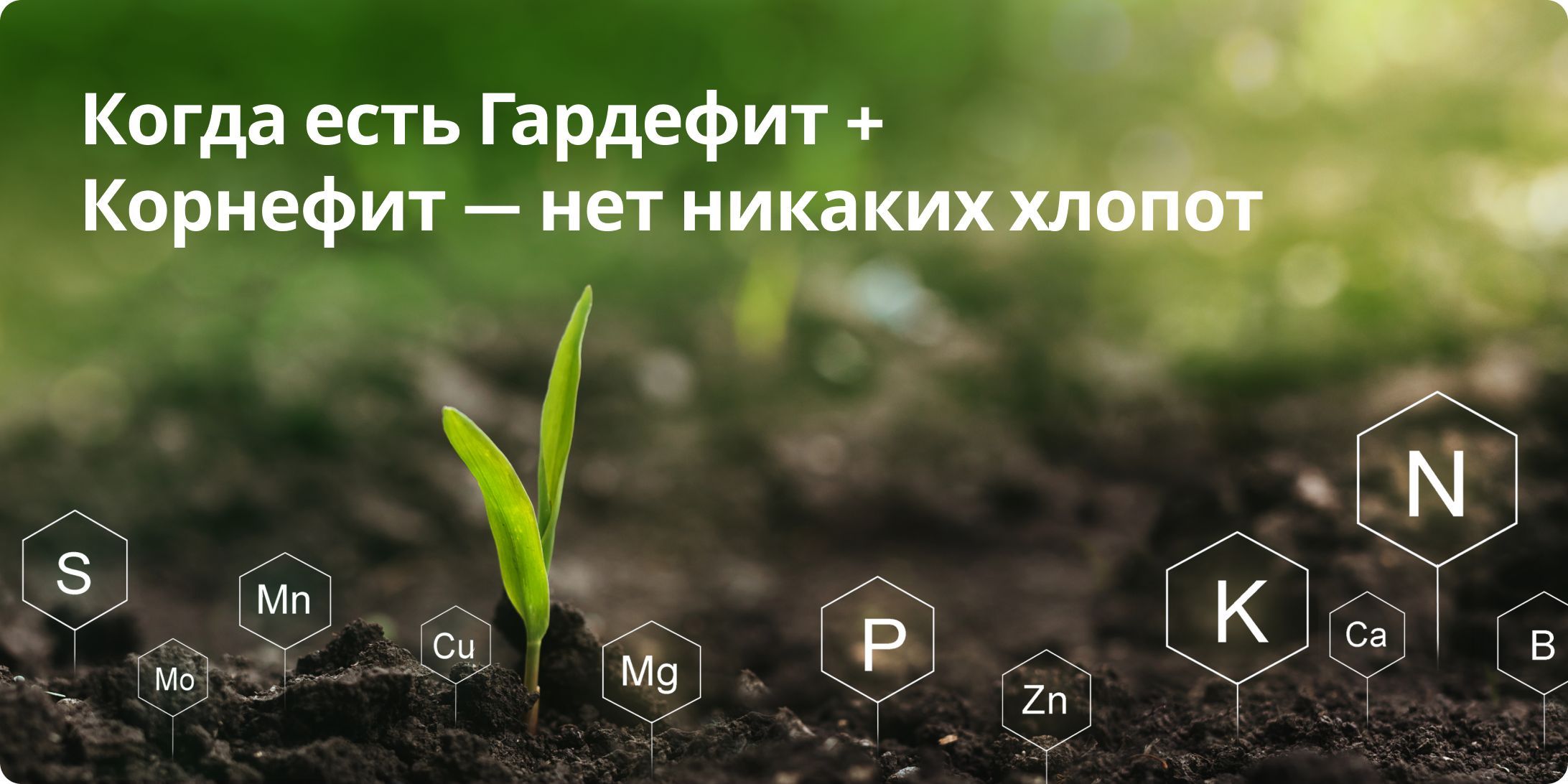 Корнефит и Гардефит / Органическое удобрение для сада, огорода ...