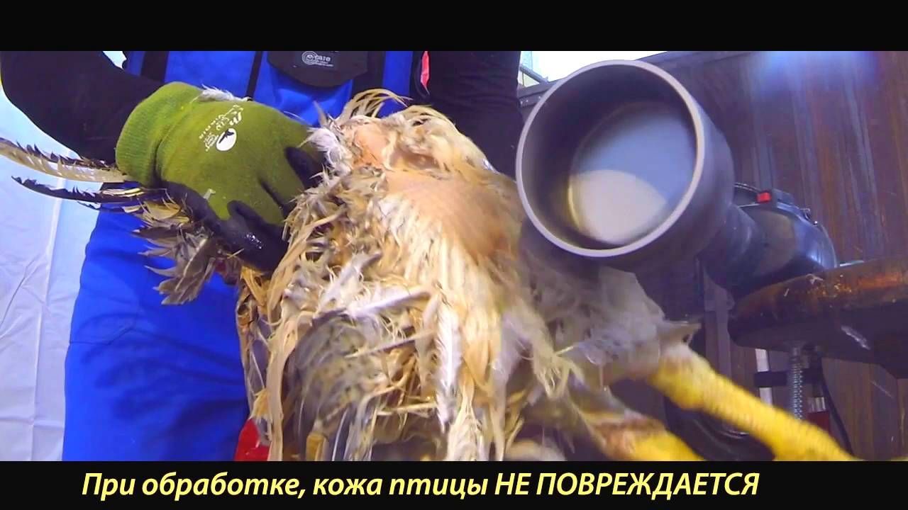 Устройство ёрш Duck Master перосъёмная насадка ощипывания домашней птицы, доставка из Москвы