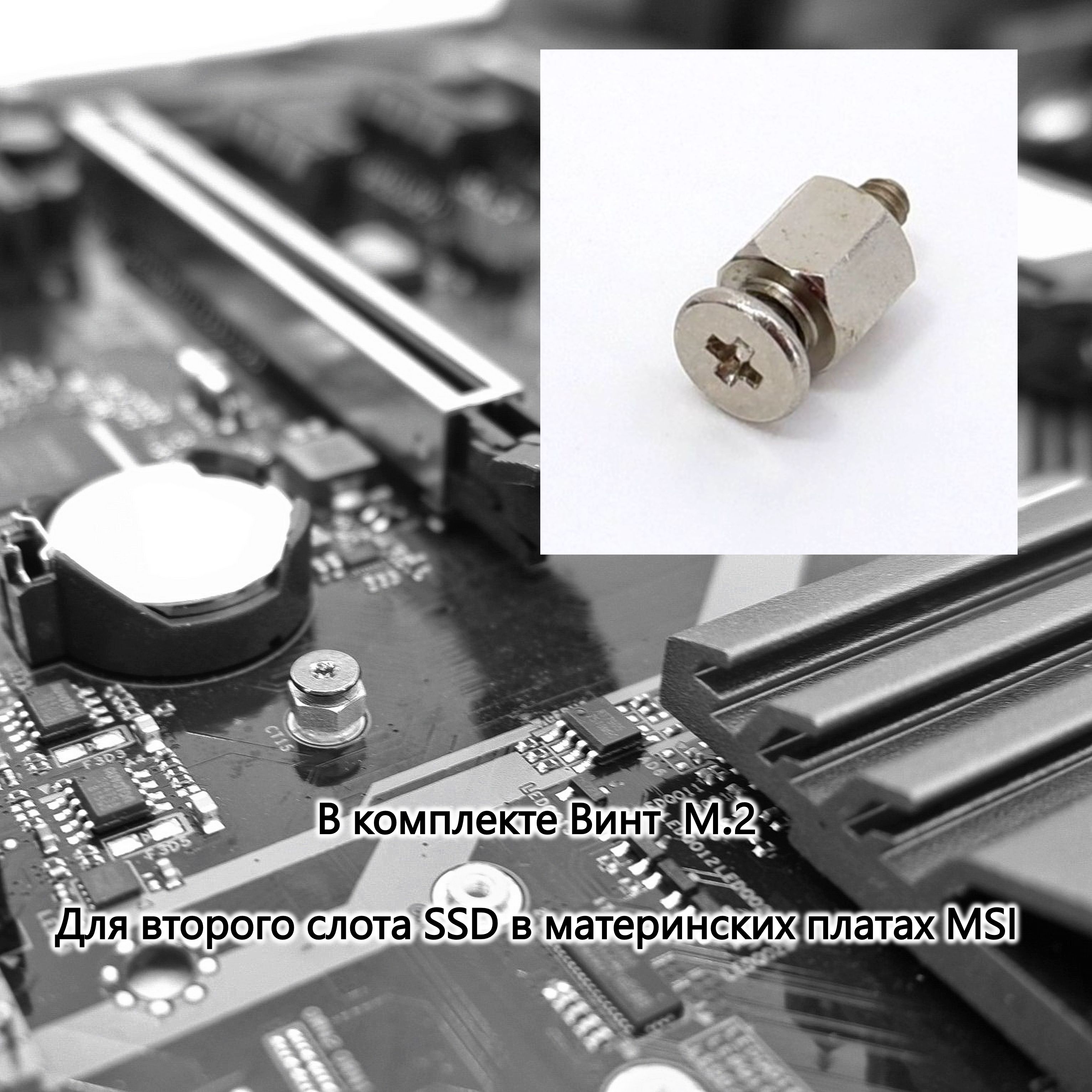 Крепеж MSI M.2 Locker EZ Clip kit SSD E27-7D25010-H75 Mounting Screw ...