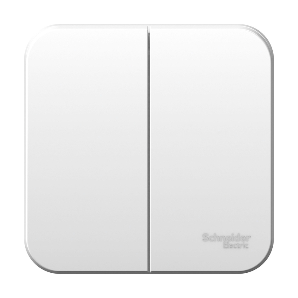 Выключатель Schneider Electric Blanca двойной, открытая установка, изол.пл, 6А, 250В, белый. #1