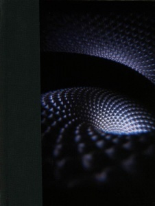 TOOL: Fear Inoculum #1