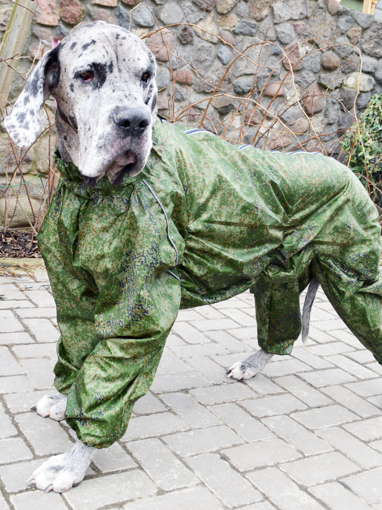 Great dane raincoat sale