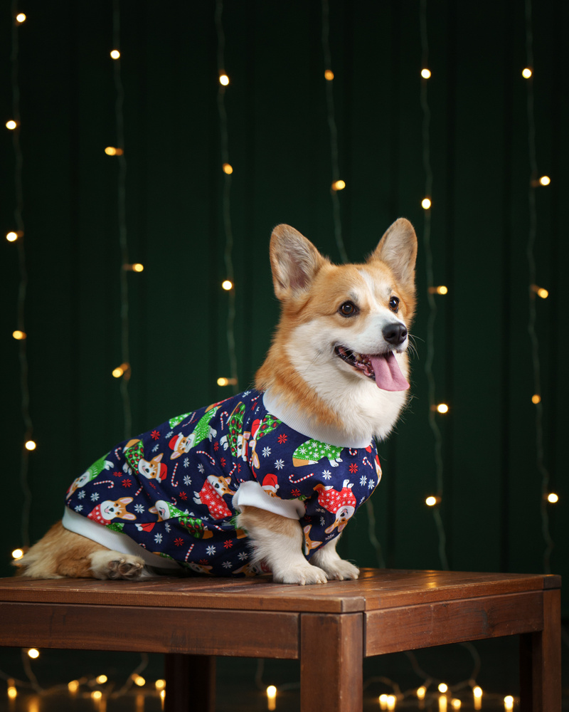 Новогодний Корги -футболка для корги с белым воротничком, размер XL .  Одежда для собак. Новогодний костюм для собак. - купить с доставкой по  выгодным ценам в интернет-магазине OZON (413426487)