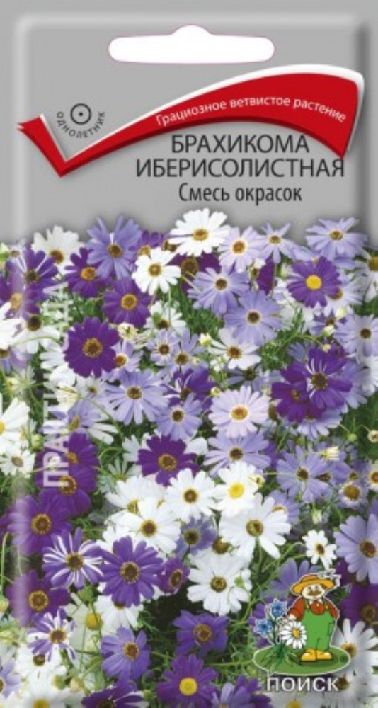 Семена Брахикома Иберисолистная 10уп по 0,03г смесь (Поиск)  #1