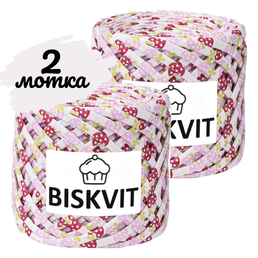 Трикотажная пряжа Biskvit фиджи, 100м., лицевая,2шт. (бисквит) #1