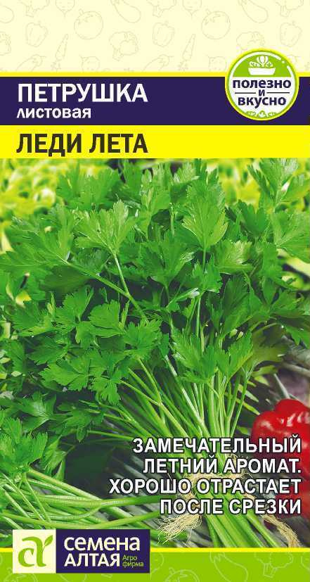 Семена Петрушка Листовая Леди Лета (2г) - Семена Алтая #1