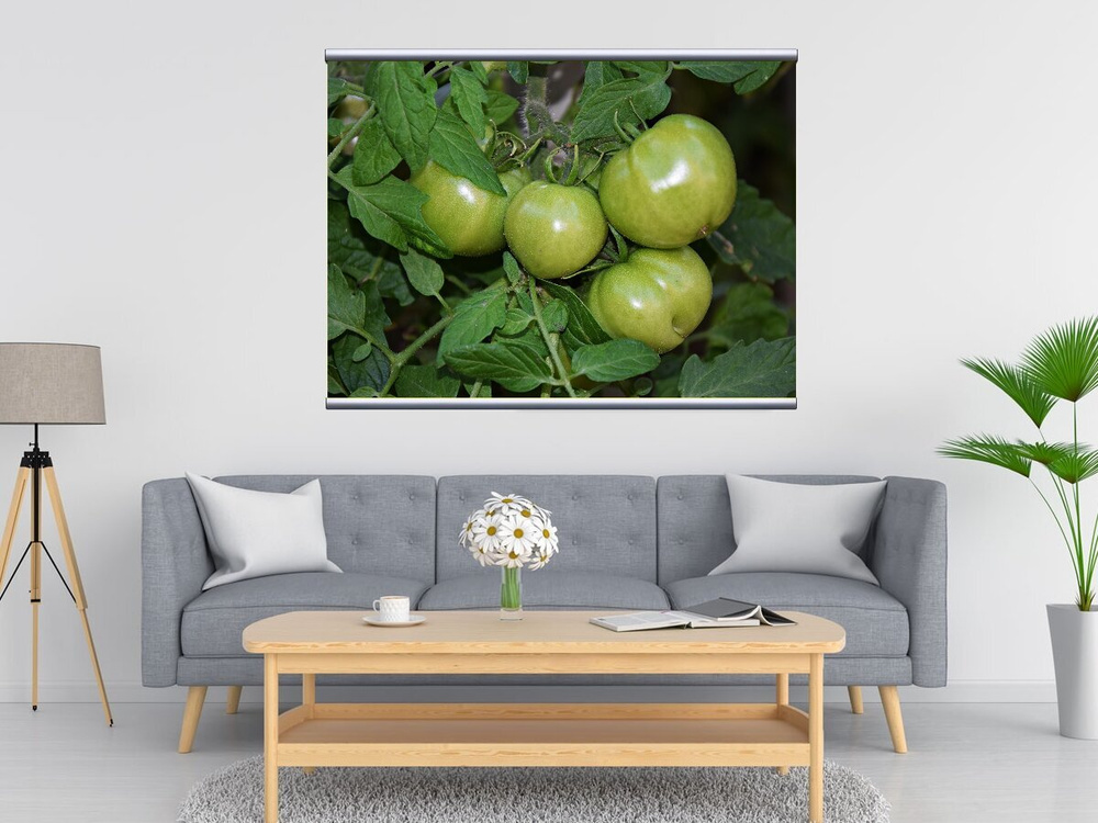 Картина на холсте "Помидор, куст, овощи" 120x90 см. с алюминиевым ...