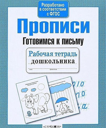 Прописи. Готовимся к письму. Рабочая тетрадь - купить с доставкой по ...