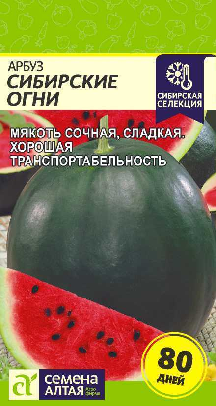Арбуз Семена Алтая дыня - купить по выгодным ценам в интернет-магазине OZON(864755320)