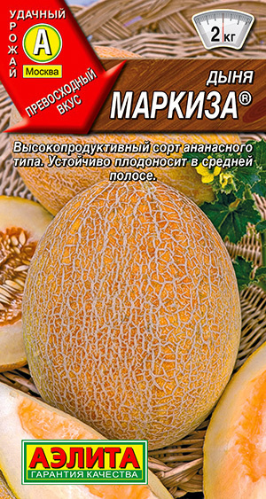 Семена Дыня Маркиза (1г) - Аэлита #1
