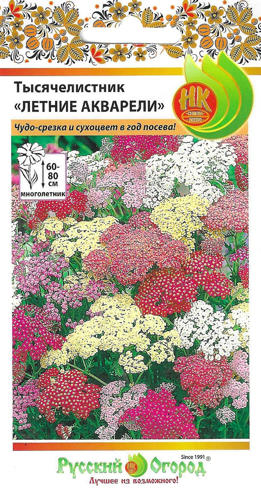Тысячелистник Летние акварели семена #1