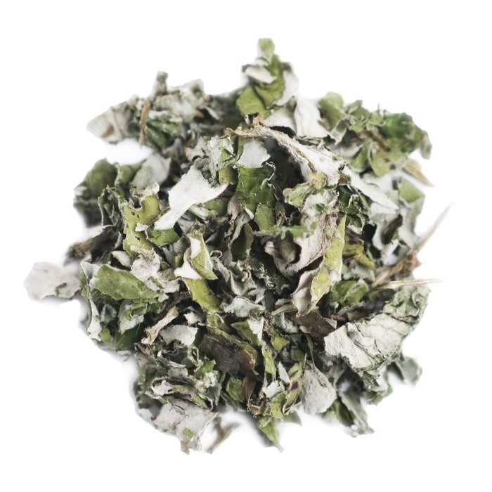 Мать-и-мачеха трава, от простуды, противомикробное, травяной чай, Алтай ...