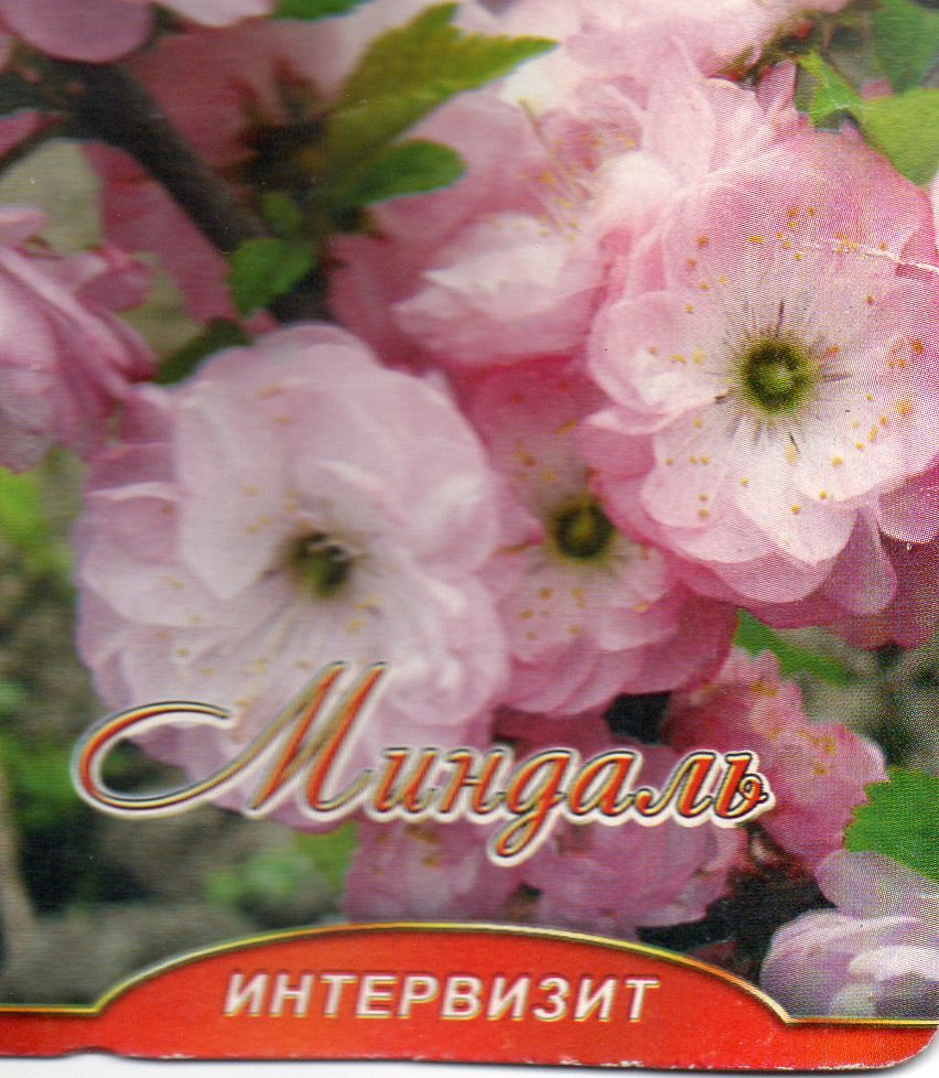 Миндаль семена #1