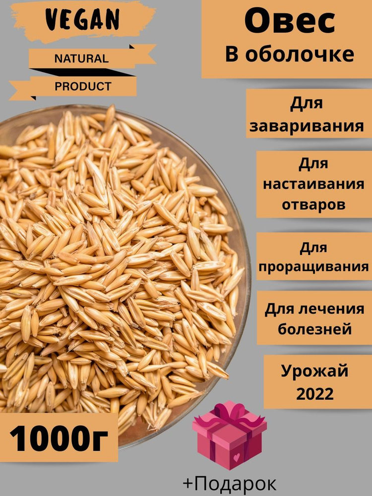 Овес в оболочке. Для отваров. От болезней. Урожай 2022г - купить с ...