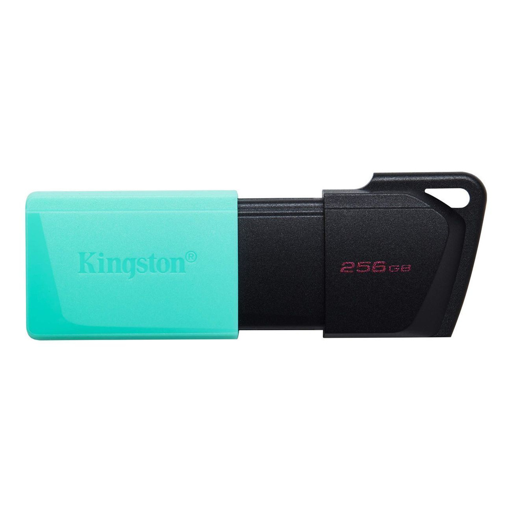 Флеш-диск Kingston DataTraveler Exodia M 256GB (DTXM/256GB) #1