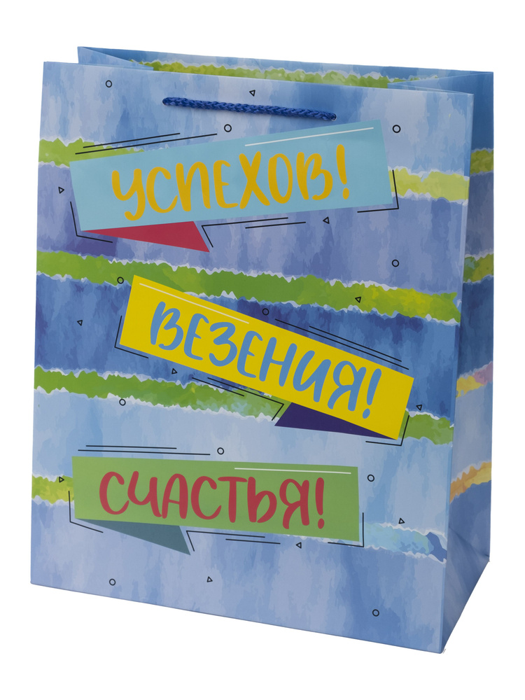 Пакет подарочный для упаковки подарков 26х32,4х12,7см #1