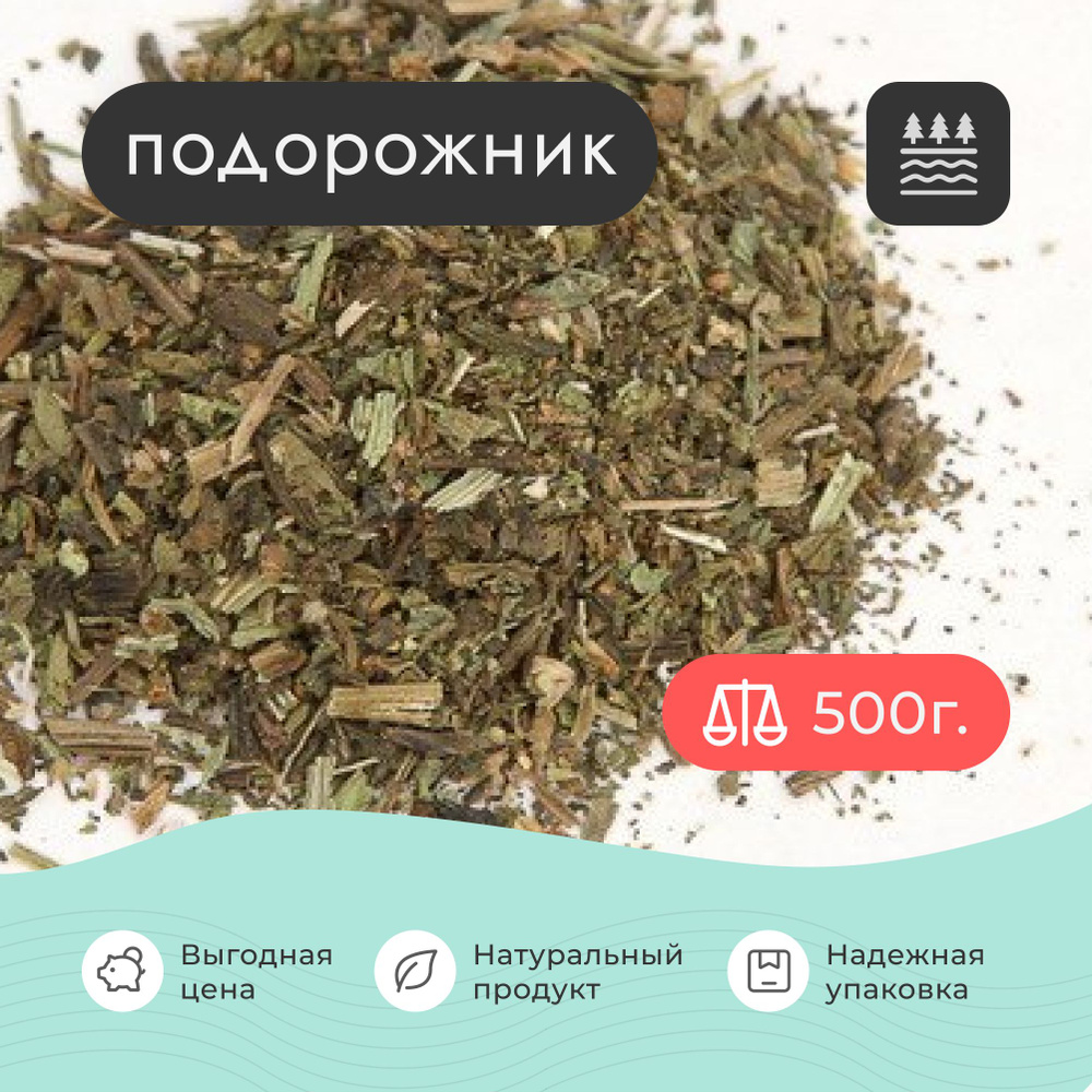 Подорожник сушеный , 500 грамм / Для чая / Для отвара / Для настойки / Для  бани