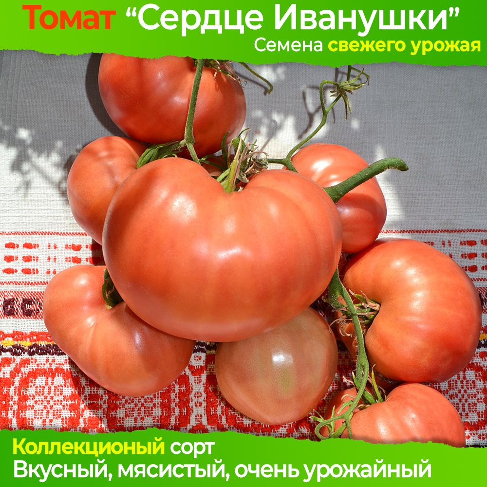 Семена томата Сердце Иванушки - коллекционный сорт #1