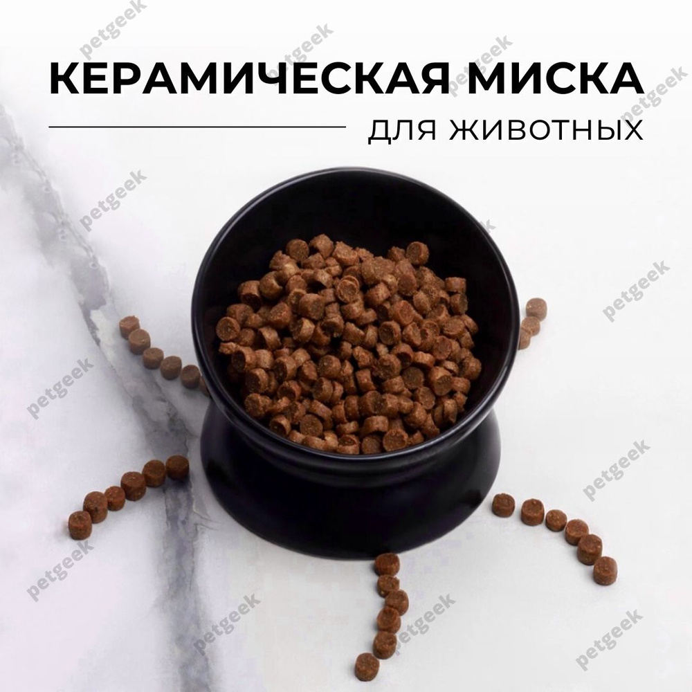 Миска для кошек и собак керамическая с наклоном одинарная (черная)  #1