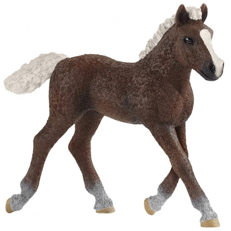 Schleich 13899 Фигурка Шварцвальдский жеребенок #1