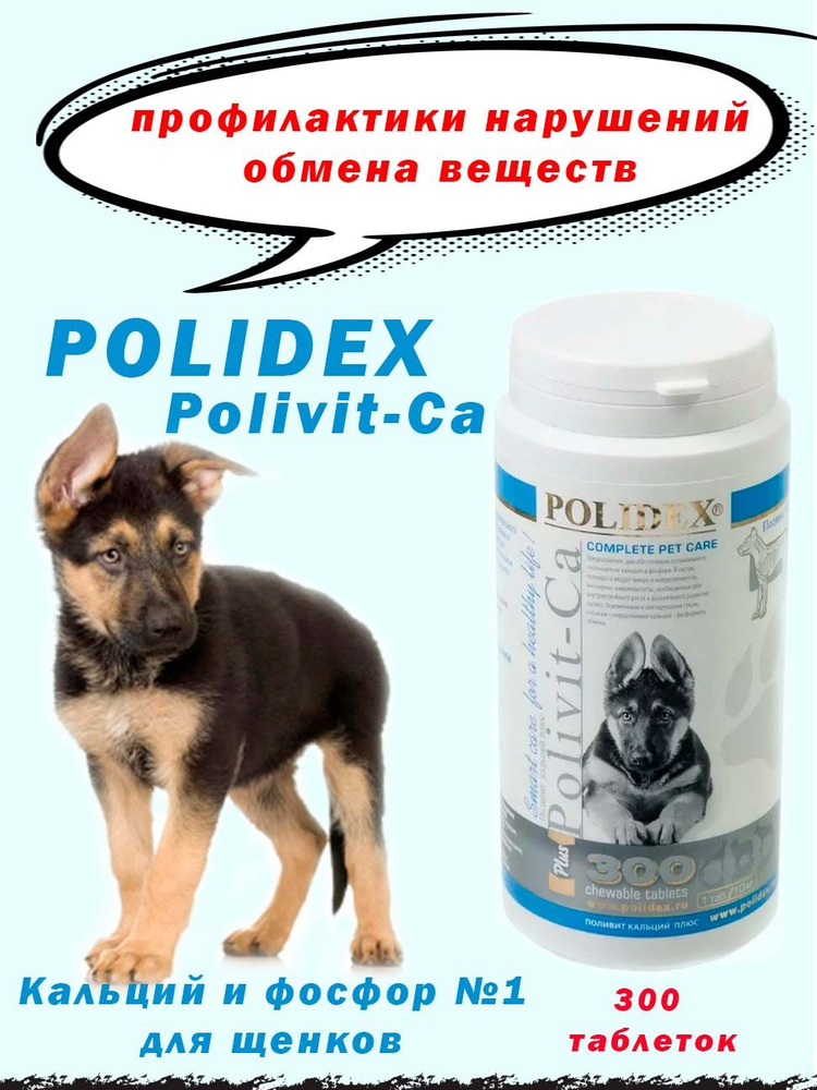 Polidex Полидэкс кальций плюс витамины для собак 300 таб. - купить с  доставкой по выгодным ценам в интернет-магазине OZON (938275385)