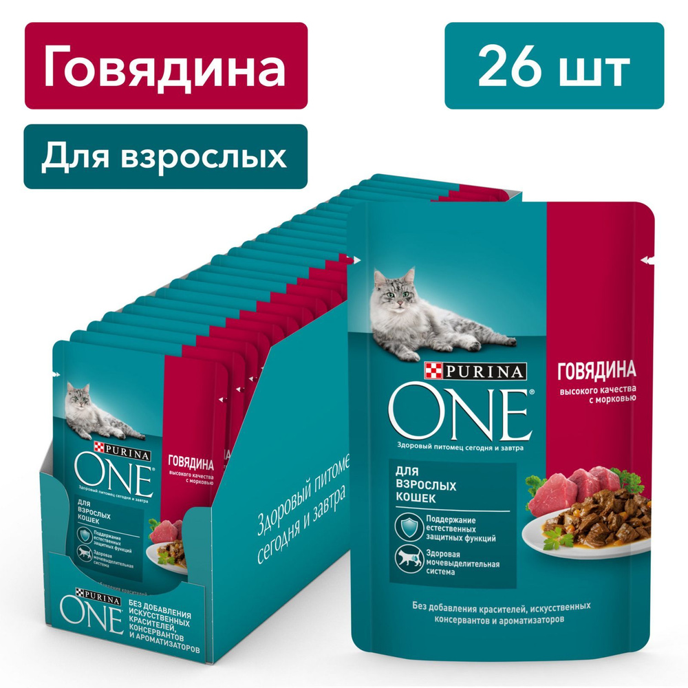 Влажный корм Purina ONE для взрослых кошек, в соусе с говядиной и морковью,  75 г х 26 шт. - купить с доставкой по выгодным ценам в интернет-магазине  OZON (169587860)