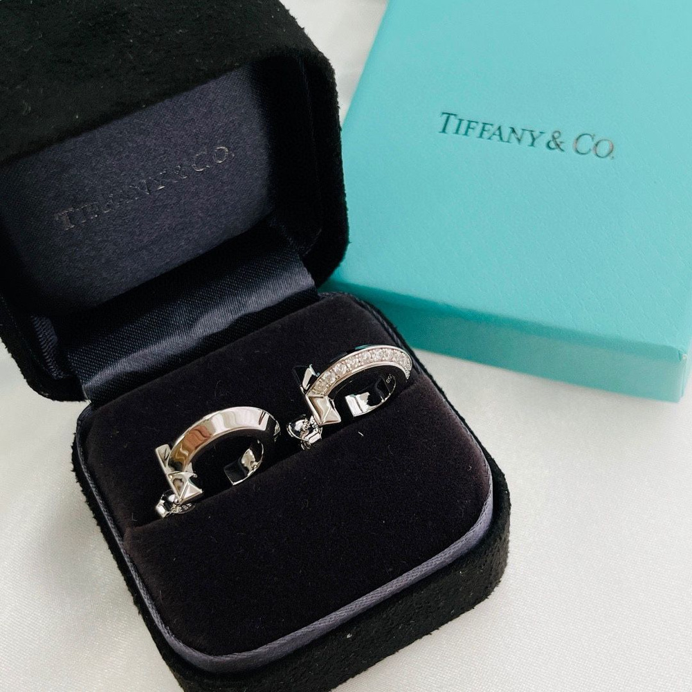 Tiffany & Co Серьги #1