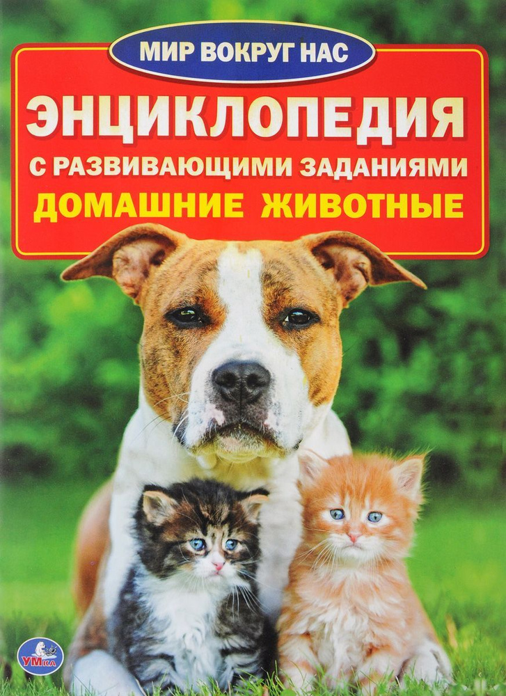 "УМКА". ДОМАШНИЕ ЖИВОТНЫЕ. ЭНЦИКЛОПЕДИЯ С РАЗВИВАЮЩИМИ ЗАДАНИЯМИ ...