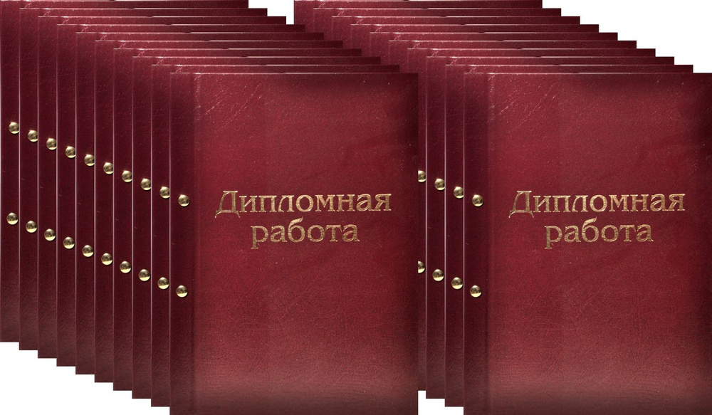 Папка для Дипломной работы с конвертом для CD. Переплет на винты. 20шт  #1