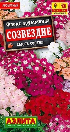 ФЛОКС ДРУММОНДА СОЗВЕЗДИЕ. Семена. Вес 0,3 гр. Яркая и неприхотливая в выращивании смесь однолетнего #1