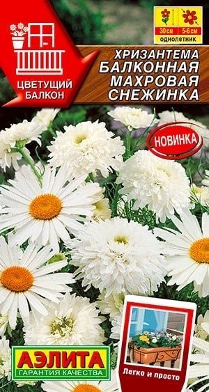 ХРИЗАНТЕМА балконная Махровая снежинка. Семена. Вес 0,2 гр. Очаровательный однолетник для выращивания #1