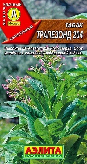 ТАБАК КУРИТЕЛЬНЫЙ ТРАПЕЗОНД 204. Семена. Вес 0,02 гр. Отличный сорт курительного табака.  #1