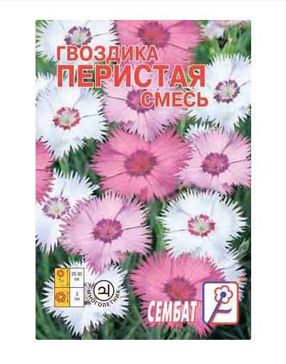 Гвоздики однолетние Сембат гвоздика_перистая - купить по выгодным ценам ...